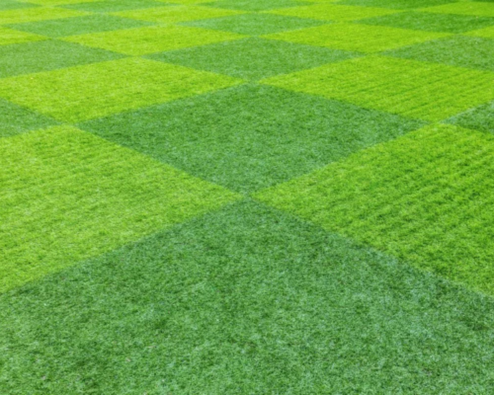 Untitled design (27)